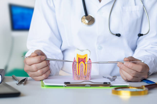 Best Emergency Dental Care for Broken or Chipped Teeth in Four Cners, OR